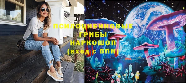 дурь Алексин