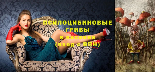 a pvp Алзамай