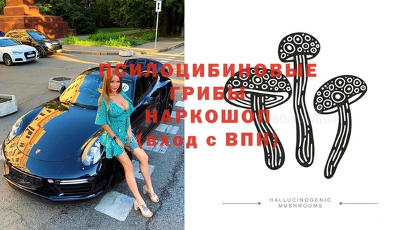 дурь Алексин