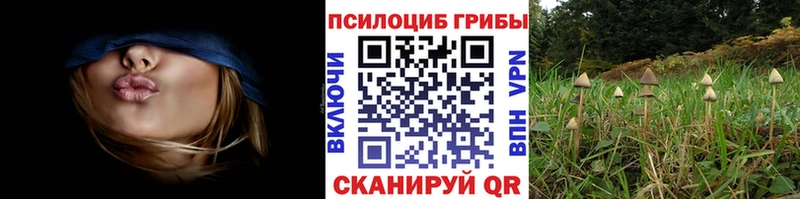 Галлюциногенные грибы Magic Shrooms  купить   мега ONION  Одинцово 
